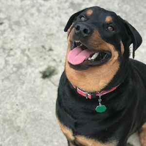 Meet your Posher, Kelli